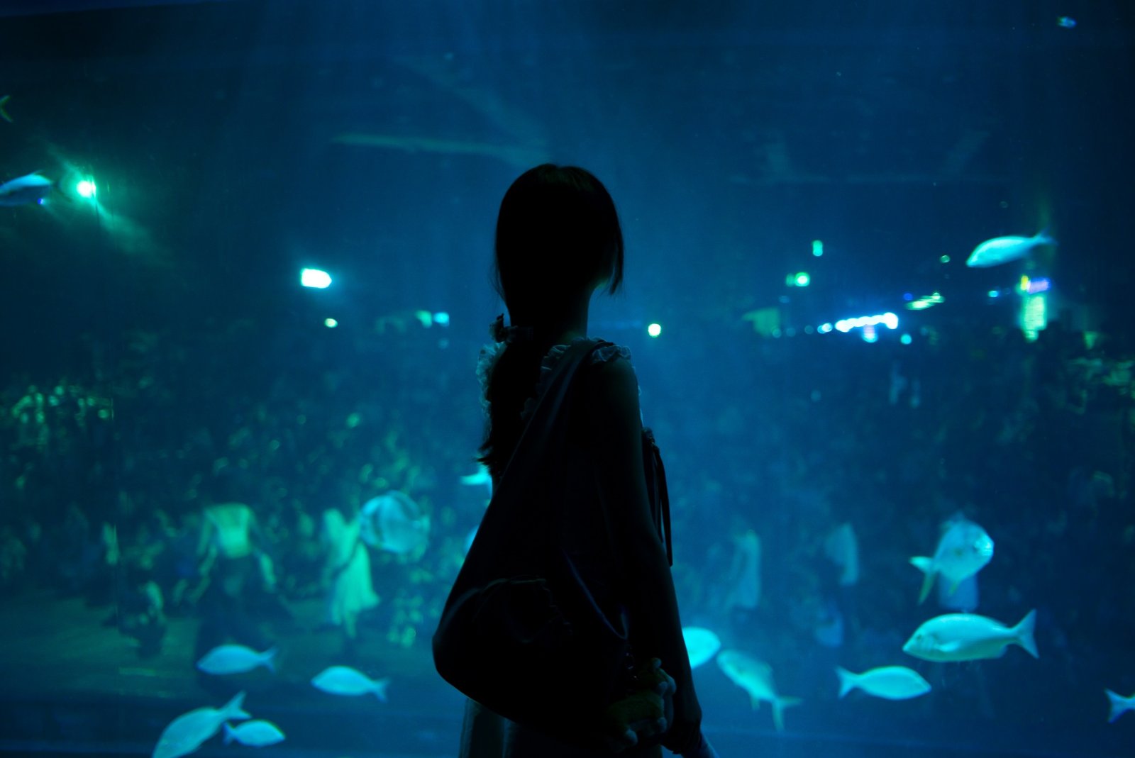 From Tourist to Advocate in 20 Minutes: The Transformation Science Behind Immersive Destination Education