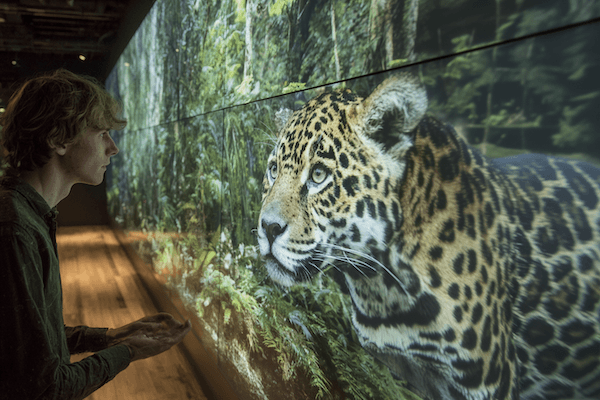 Save Parks, Keep Tourists: The Immersive Tech Solution